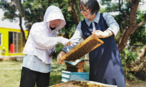 汕尾陆河新田镇：科技特派员让养蜂产业踏上新台阶