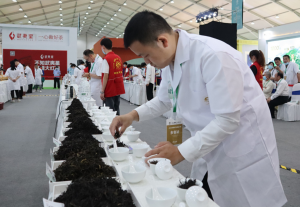 潮州首次举办凤凰单丛拼配大赛