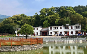 韶关曲江白楼村：绿水青山间 这个村有颜值更有魅力
