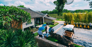 惠州惠阳茶园村：“空心村”变身旅游“网红村”