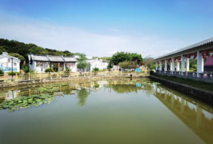 潮州市饶平县东山镇湖岭村：激活“红色基因” 做强“绿色经济”