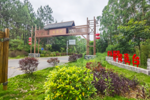 河源梨园村：农旅融合发展，奏响乡村振兴新乐章