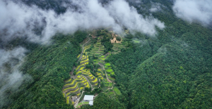 梅州梅江区：富硒茶种出致富新“硒”望