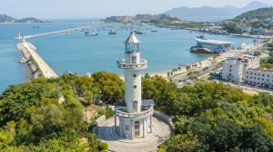 珠海：桂山镇获评抓党建促乡村振兴示范镇 交出充满“海味”的答卷
