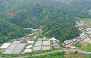 清远英德：镇里来了“领头雁” 壮大基层主心骨