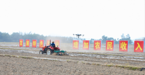 江门：发展新型农村集体经济专项改革试点工作成效渐显