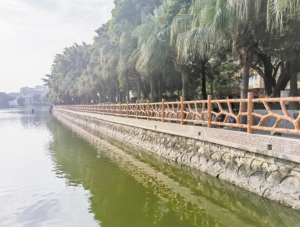 江门市新会区葵湖公园环境升级 更美更安全
