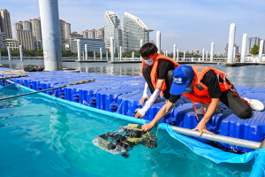 2022年全国水下机器人大赛在湛江拉开帷幕
