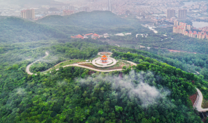 阳江金鸡岭森林公园：密林景色美