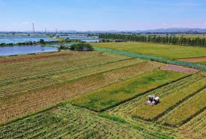 2021年度广东省推进乡村振兴战略实绩考核揭晓，汕头获评“优秀”