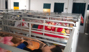 江门新会：古井镇学生午休实现“躺着睡”