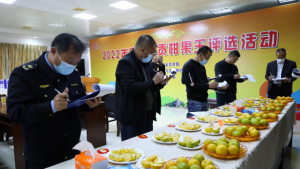 肇庆德庆：2022年十大“德庆贡柑果王”出炉